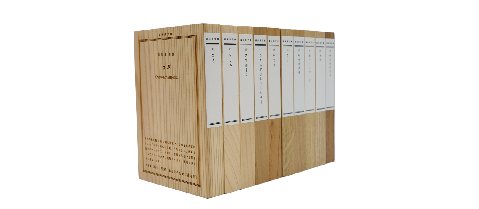 触れる、比べる 樹種・加工処理の木材サンプル｜森未来文庫【eTREE】